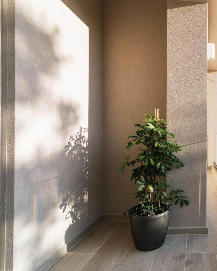 פיטסידיה Central Apartments “Evanthia” מראה חיצוני תמונה